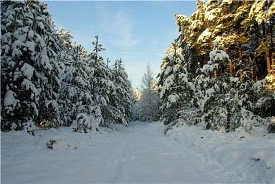 《星际战甲》最新Prime 战甲Caliban将于8月27日上线